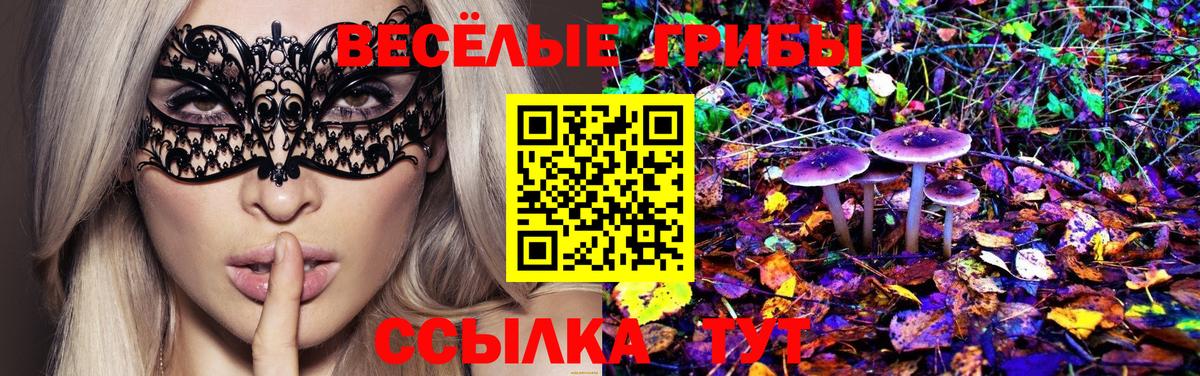 купить наркотик  Вход с VPN  Барабинск  Галлюциногенные грибы MAGIC MUSHROOMS 
